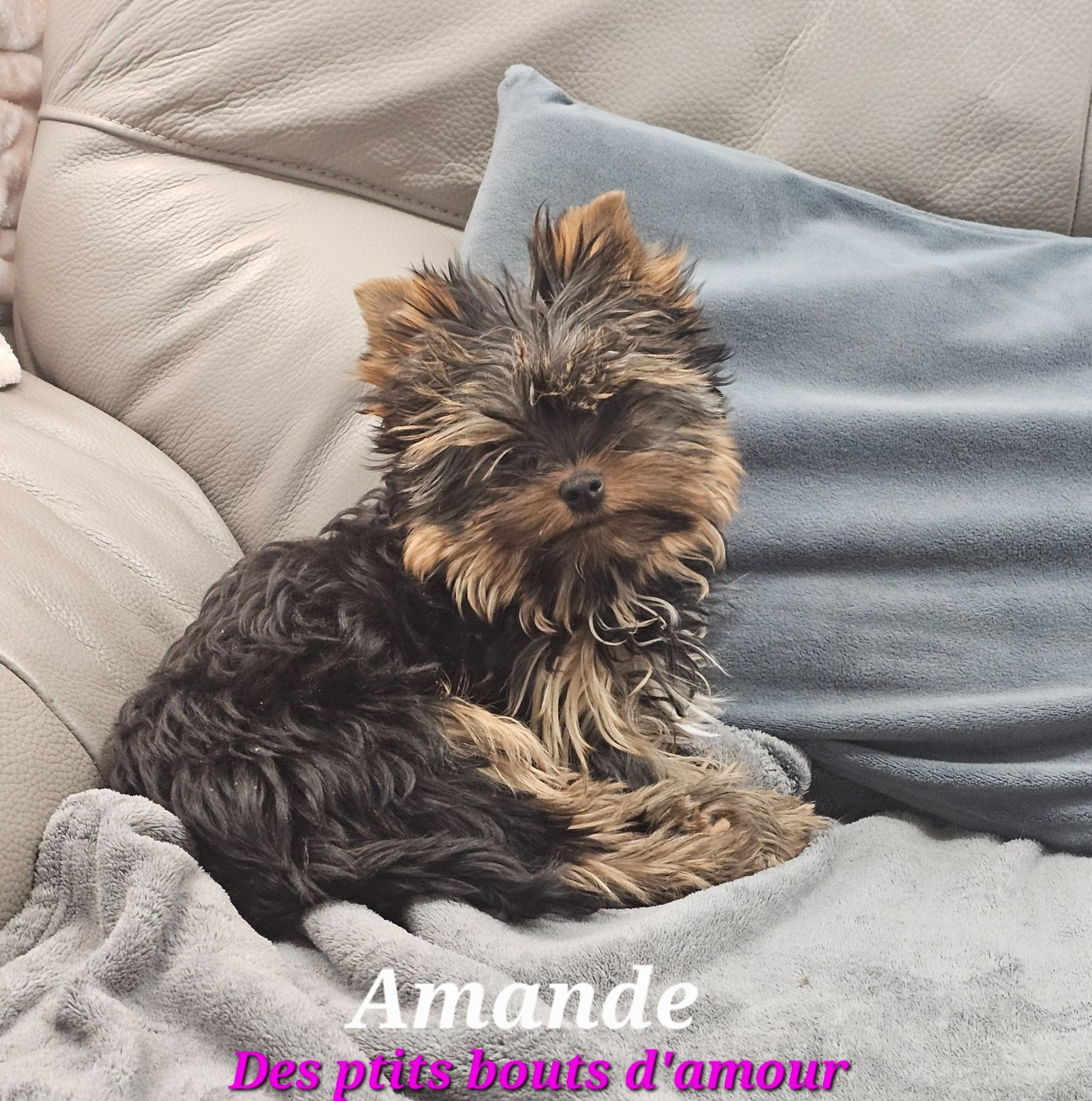 Amande Des P'tits Bouts D'amour